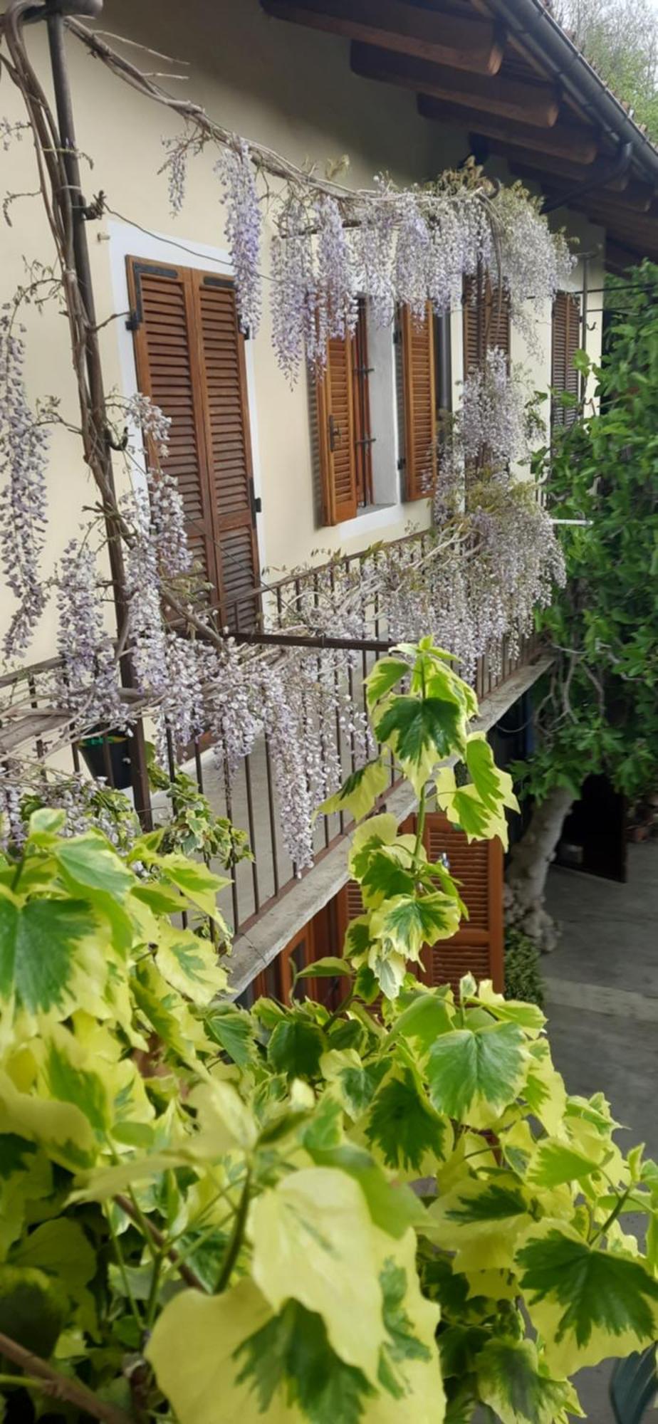 Il Giardino Del Gallo Cherasco Exterior photo