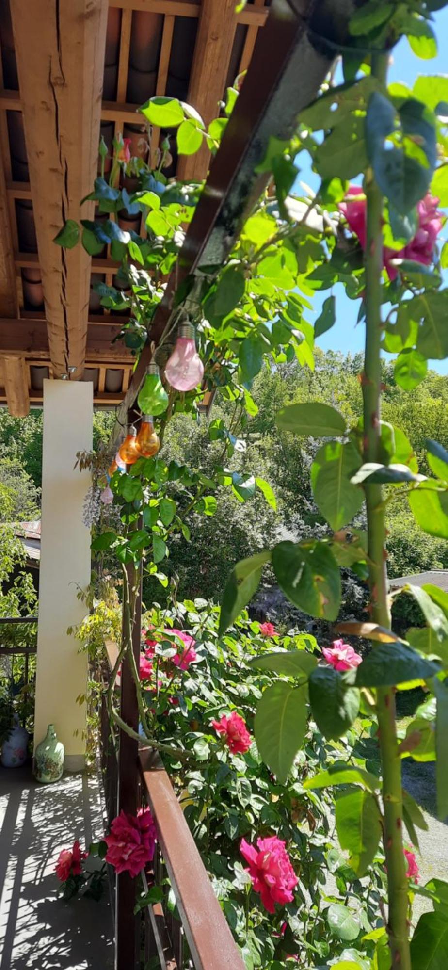 Il Giardino Del Gallo Cherasco Exterior photo