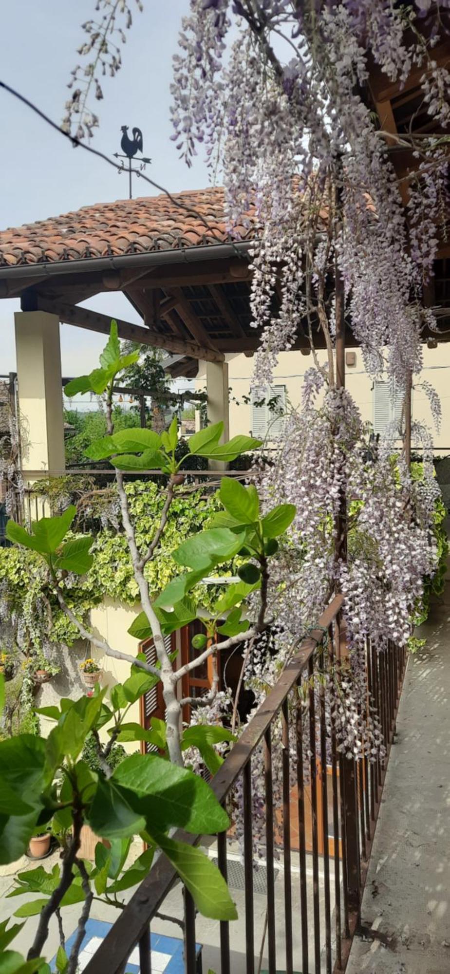 Il Giardino Del Gallo Cherasco Exterior photo