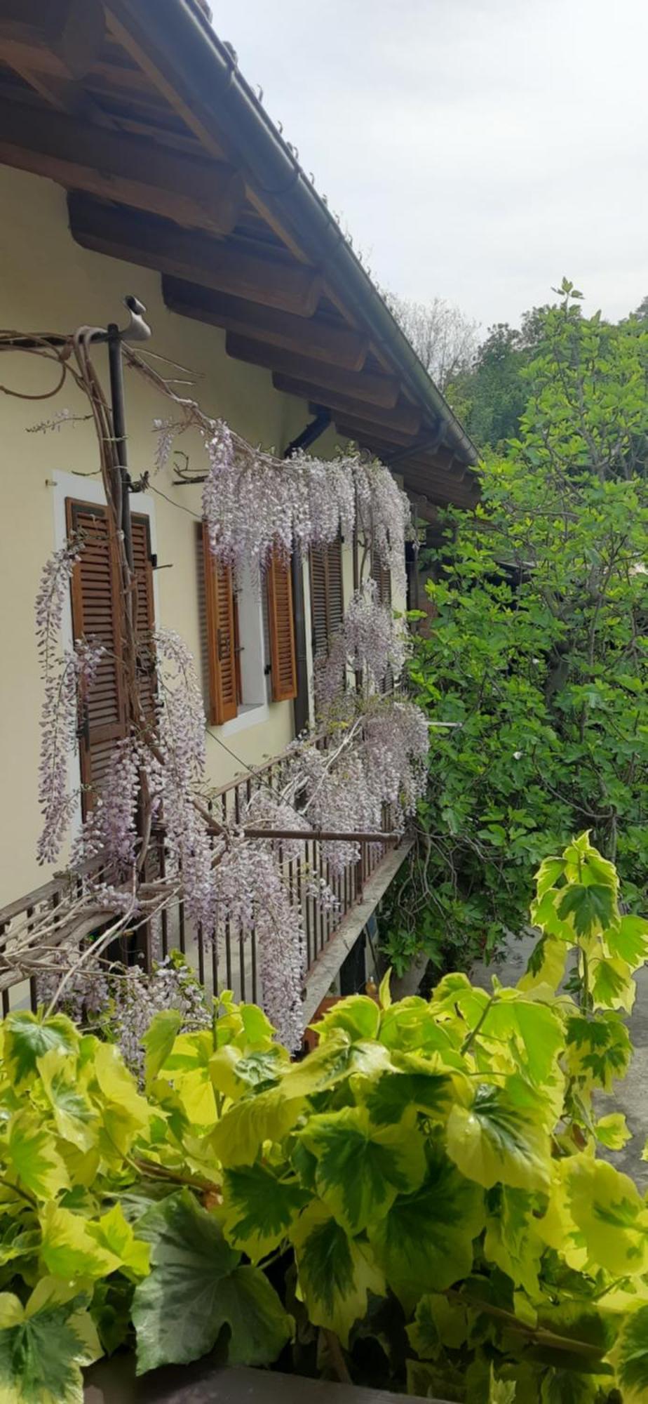 Il Giardino Del Gallo Cherasco Exterior photo