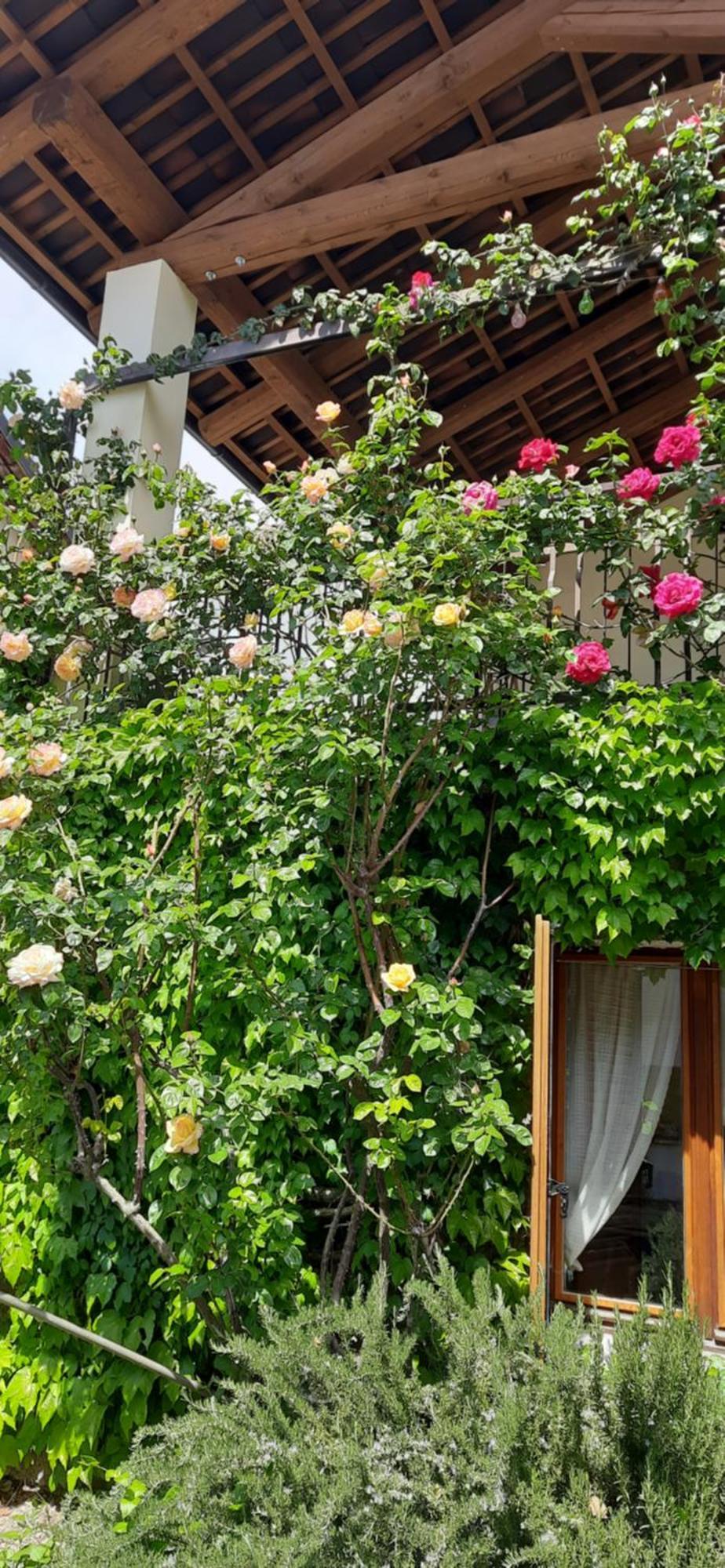 Il Giardino Del Gallo Cherasco Exterior photo
