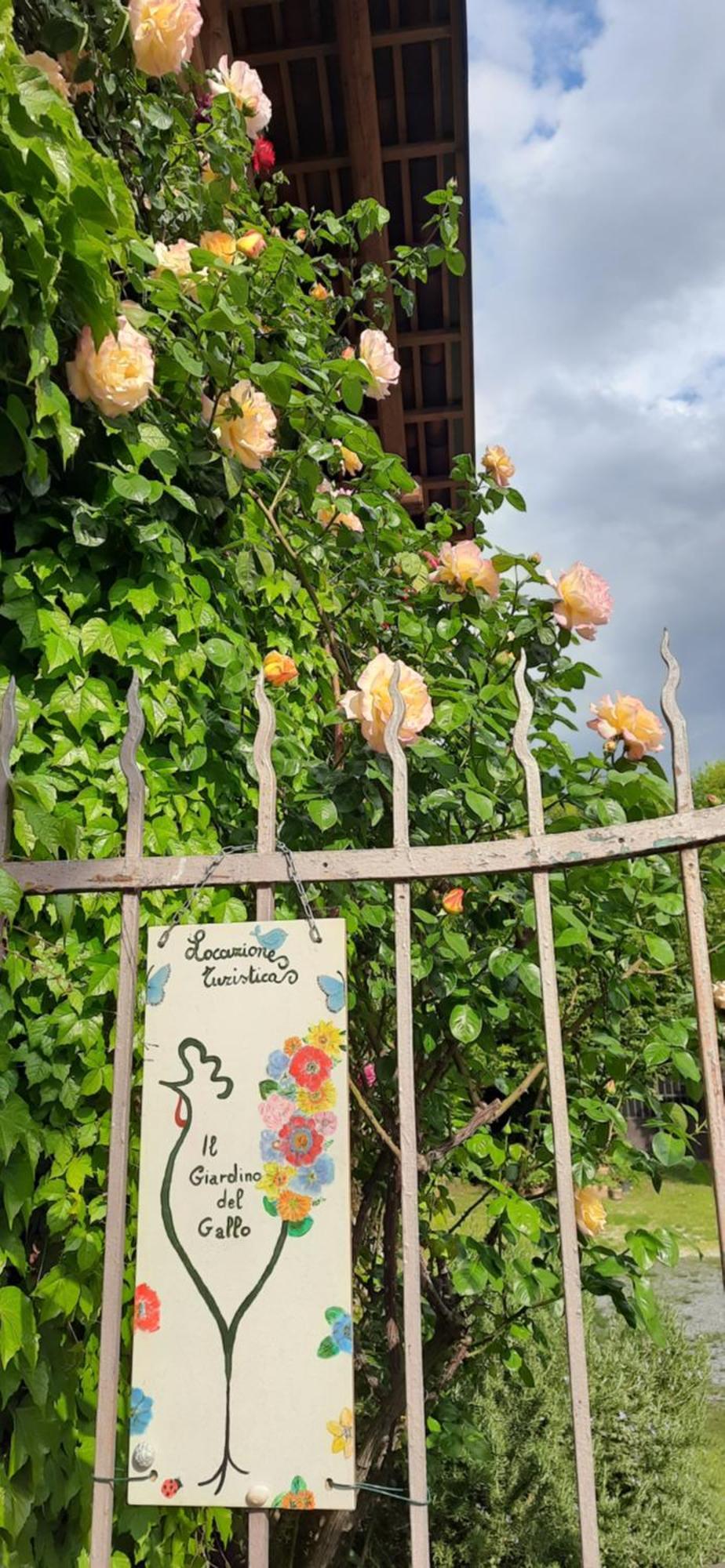 Il Giardino Del Gallo Cherasco Exterior photo