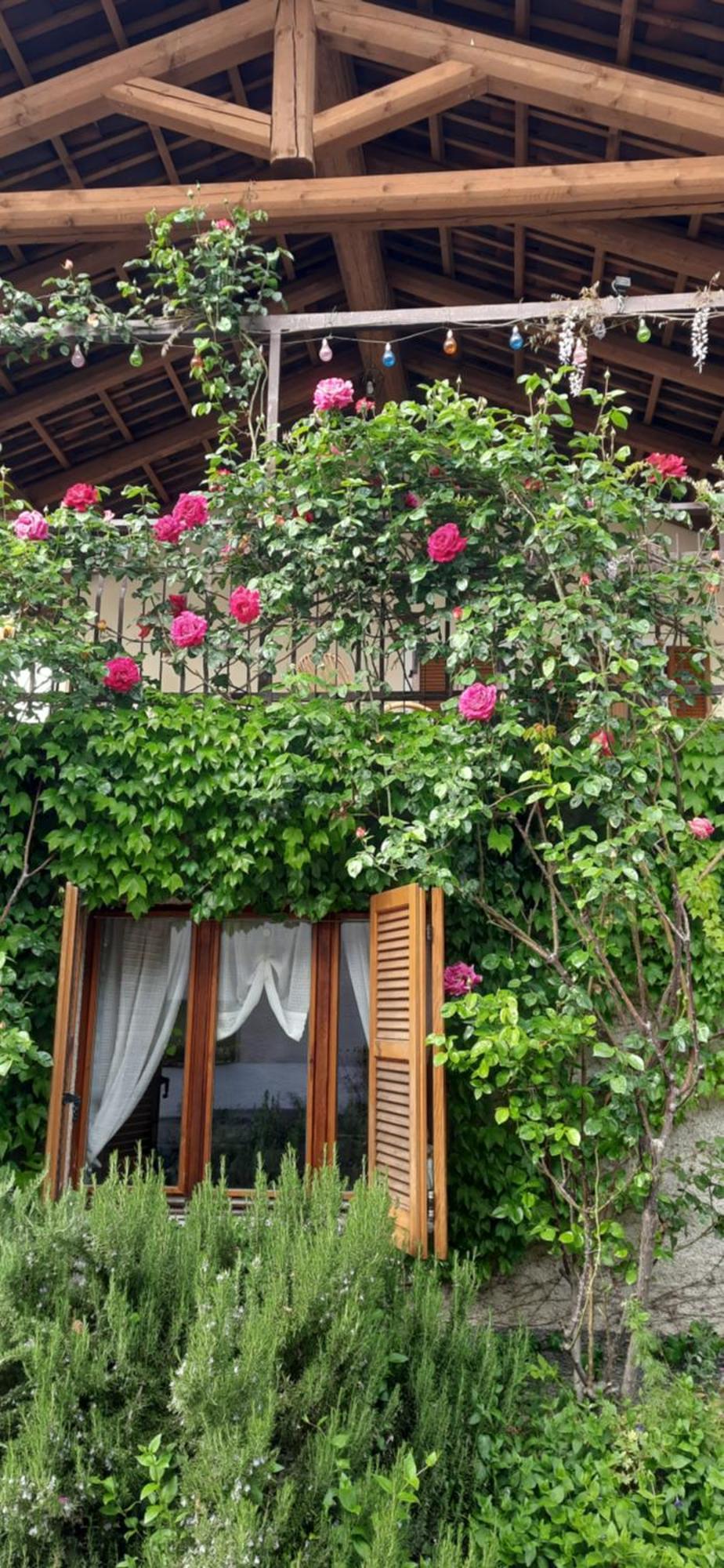 Il Giardino Del Gallo Cherasco Exterior photo
